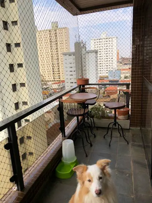 Foto 5 de Apartamento com 4 Quartos à venda, 293m² em Centro, Limeira