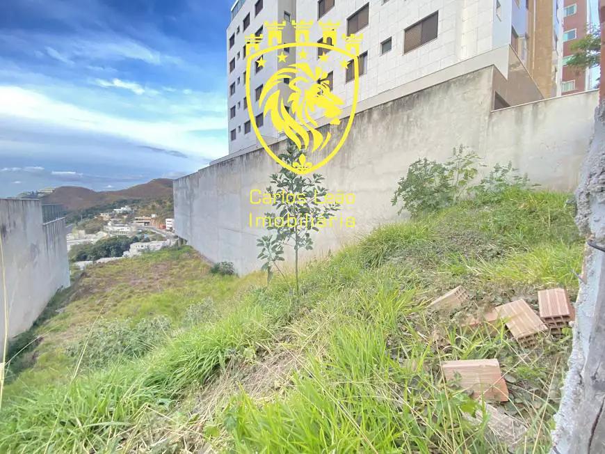 Foto 4 de Lote/Terreno com 1 Quarto à venda, 900m² em Buritis, Belo Horizonte