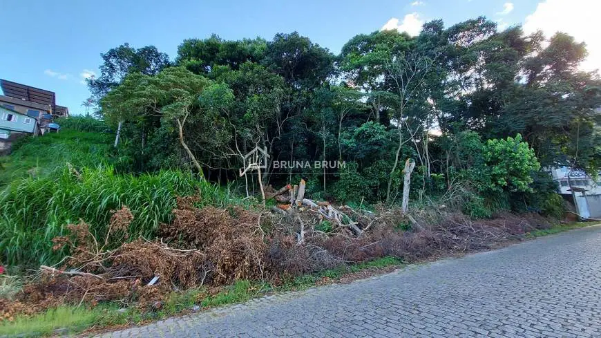 Foto 1 de Lote/Terreno à venda, 6500m² em Agriões, Teresópolis