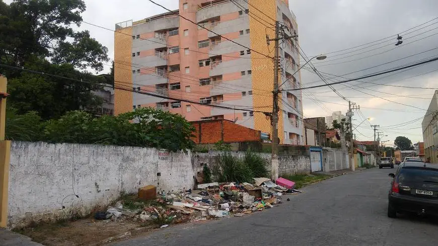 Foto 3 de Lote/Terreno para alugar, 1050m² em Vila Perreli, Poá