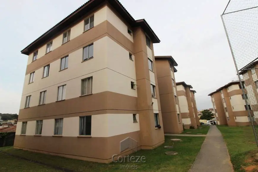 Foto 1 de Apartamento com 2 Quartos para alugar, 47m² em Santo Antônio, São José dos Pinhais