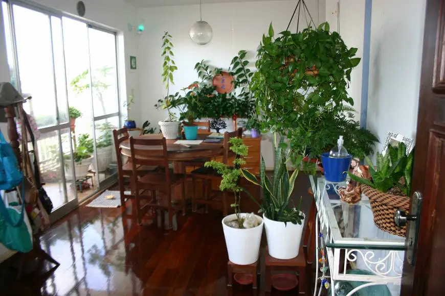 Foto 1 de Apartamento com 3 Quartos à venda, 105m² em Costa Azul, Salvador