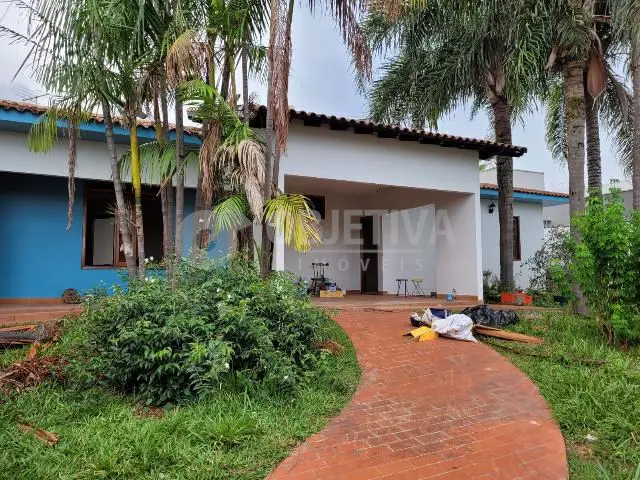 Foto 1 de Casa com 3 Quartos para alugar, 400m² em Jardim Colina, Uberlândia