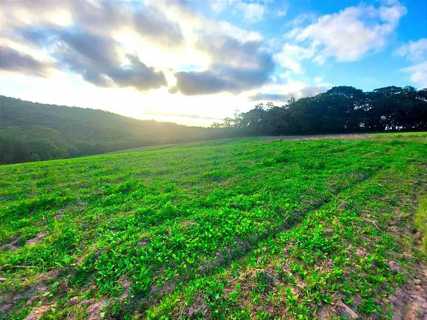 Foto 1 de Lote/Terreno à venda, 500m² em Distrito Industrial, Barueri