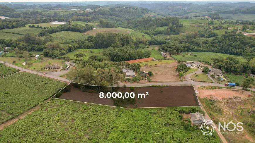 Foto 1 de Lote/Terreno à venda, 8000m² em , Flores da Cunha
