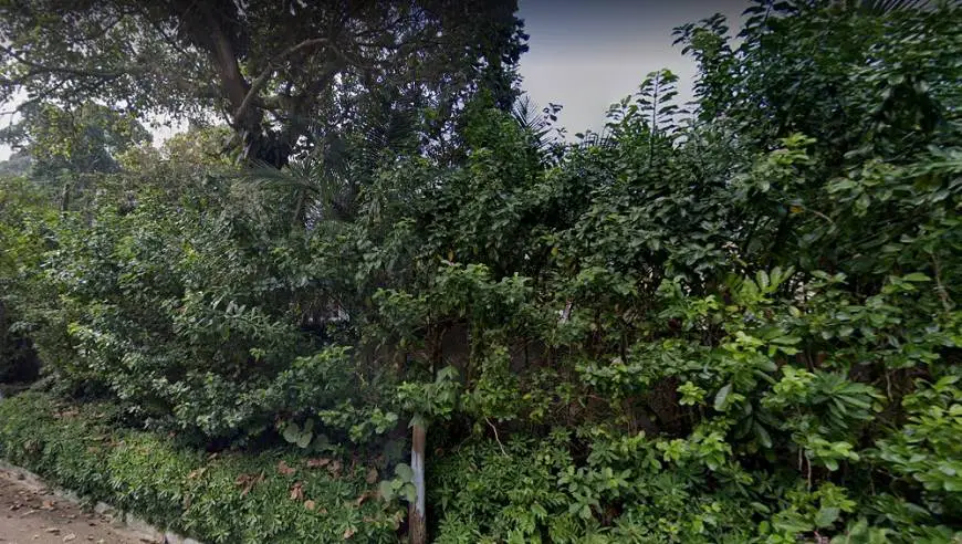 Foto 3 de Lote/Terreno à venda, 480m² em Jardim Bandeirantes, São Paulo