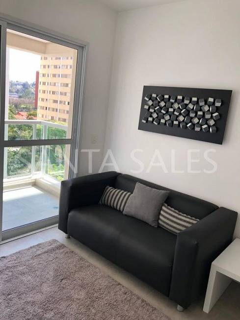 Foto 3 de Apartamento com 1 Quarto para alugar, 37m² em Vila Cruzeiro, São Paulo