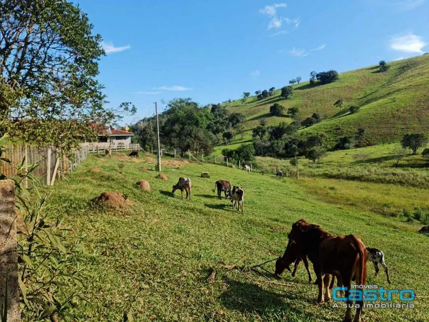 Foto 4 de Chácara com 3 Quartos à venda, 20000m² em Zona Rural, Paraisópolis