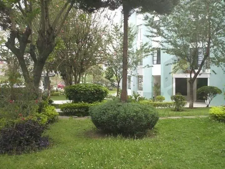 Foto 1 de Apartamento com 3 Quartos à venda, 73m² em Jardim Botânico, Curitiba