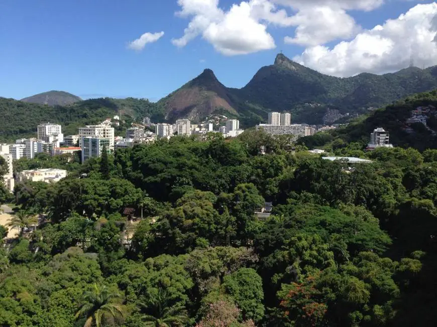Foto 3 de Apartamento com 2 Quartos para alugar, 235m² em Laranjeiras, Rio de Janeiro