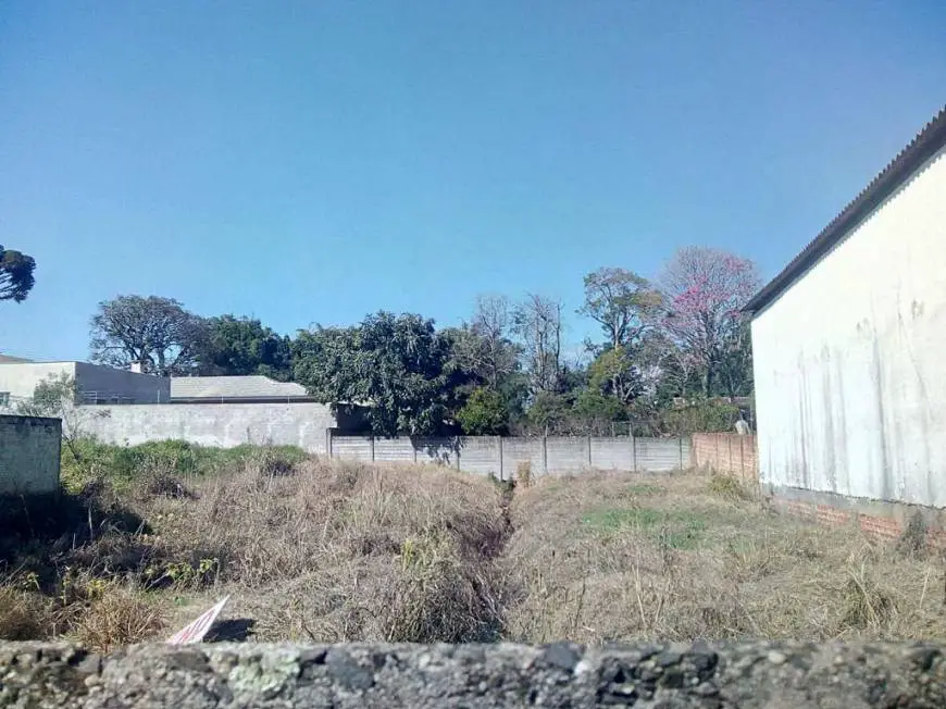 Foto 1 de Lote/Terreno para alugar, 680m² em Uvaranas, Ponta Grossa