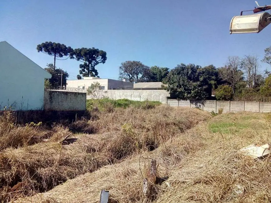 Foto 2 de Lote/Terreno para alugar, 680m² em Uvaranas, Ponta Grossa