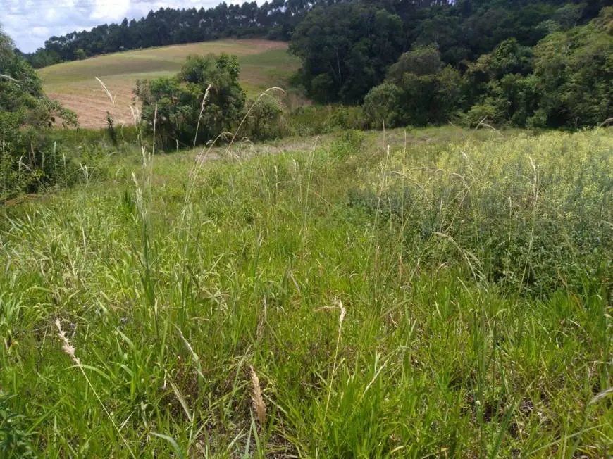 Foto 5 de Lote/Terreno à venda, 500m² em Jardim Tupan, Barueri