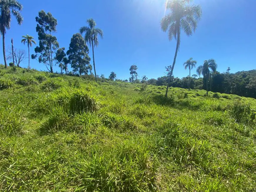 Foto 2 de Lote/Terreno à venda, 1000m² em Centro, Salto