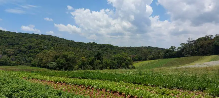 Foto 1 de Lote/Terreno à venda, 500m² em Guaçu, São Roque