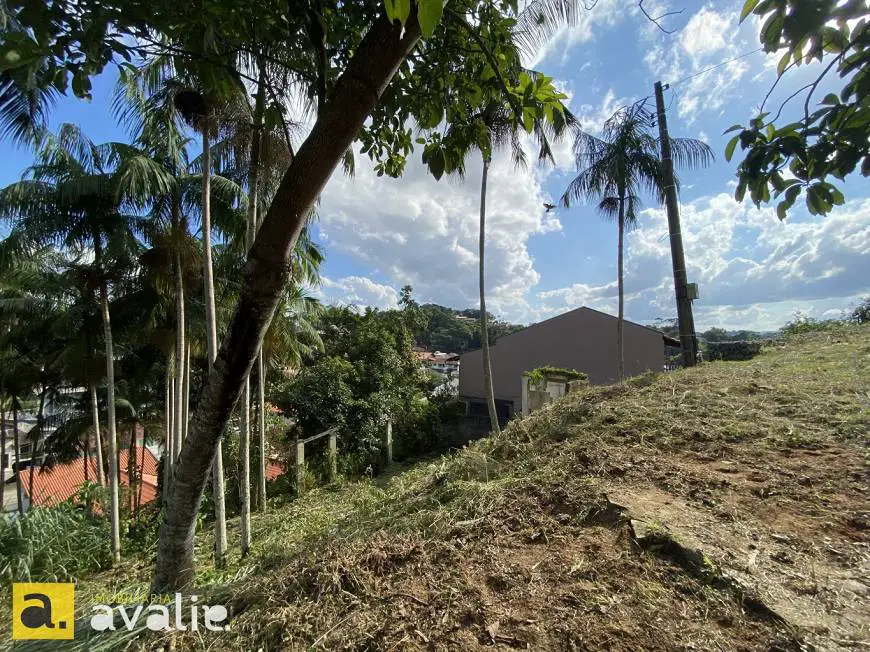 Foto 3 de Lote/Terreno à venda, 1159m² em Fortaleza, Blumenau