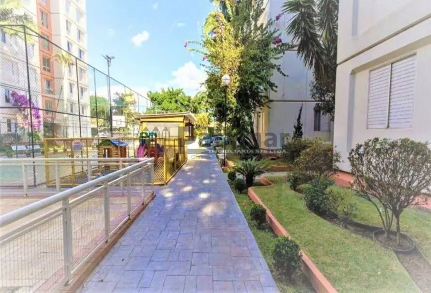 Foto 4 de Apartamento com 3 Quartos à venda, 75m² em Jardim Previdência, São Paulo