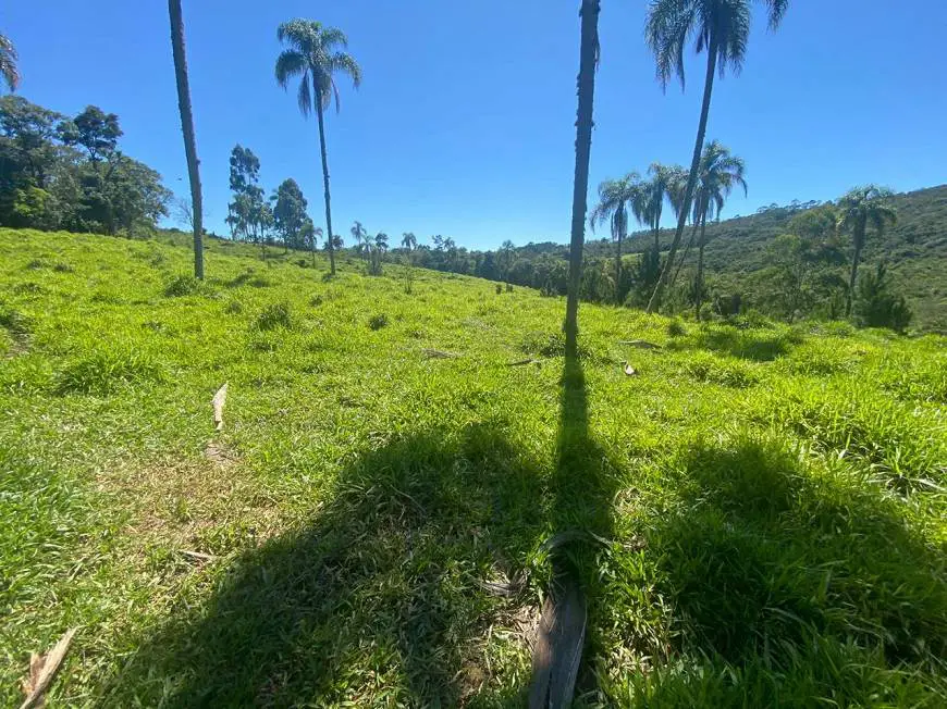 Foto 1 de Lote/Terreno à venda, 1000m² em Centro, Salto