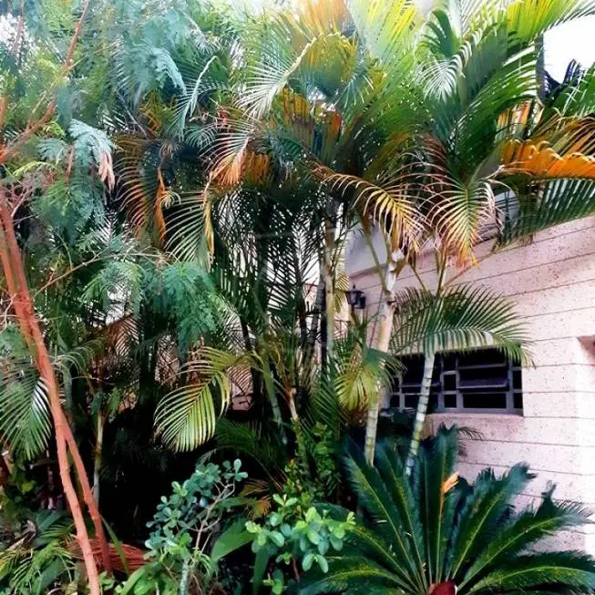 Foto 1 de Sobrado com 3 Quartos à venda, 290m² em Jardim França, São Paulo