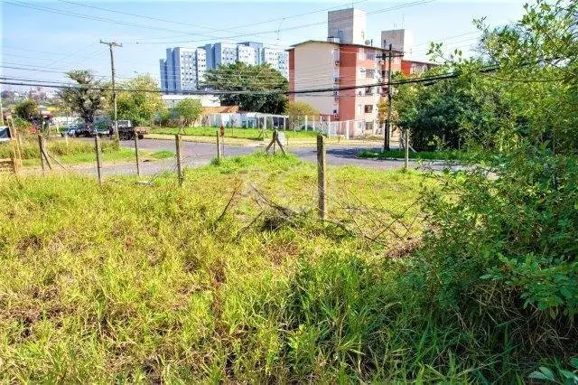Foto 2 de Lote/Terreno à venda, 308m² em Jardim Leopoldina, Porto Alegre