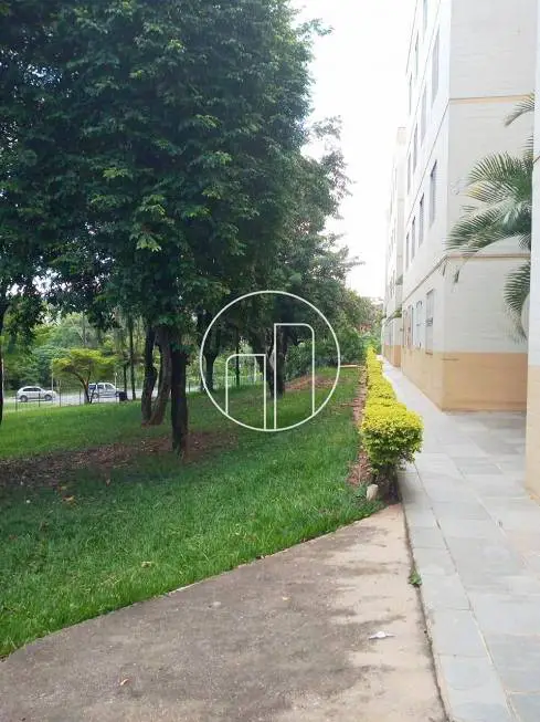 Foto 3 de Apartamento com 3 Quartos à venda, 79m² em Jardim do Vovô, Campinas