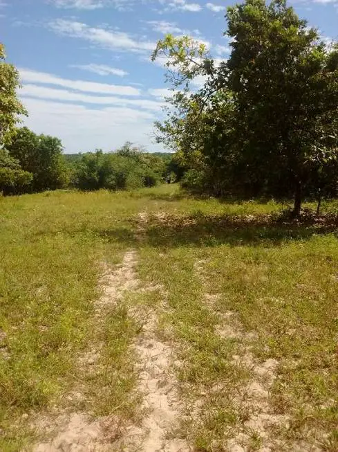 Foto 2 de Lote/Terreno à venda, 99000m² em Zona Rural, Pindoretama