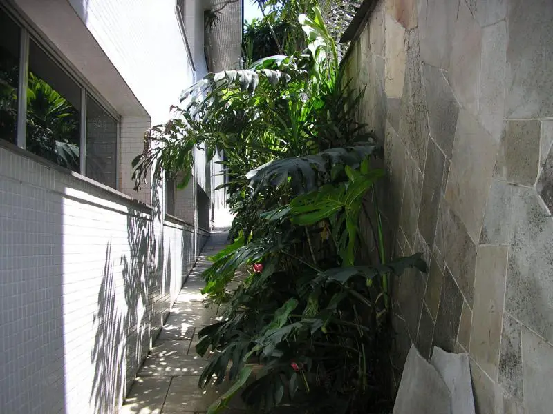 Foto 4 de Casa com 5 Quartos à venda, 450m² em Vila Paiva, São Paulo