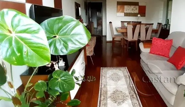 Foto 1 de Apartamento com 3 Quartos à venda, 76m² em Ipiranga, São Paulo