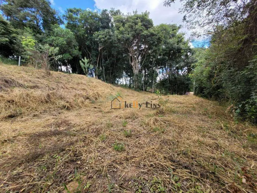 Foto 1 de Lote/Terreno à venda, 500m² em Zona Rural, Pinhalzinho