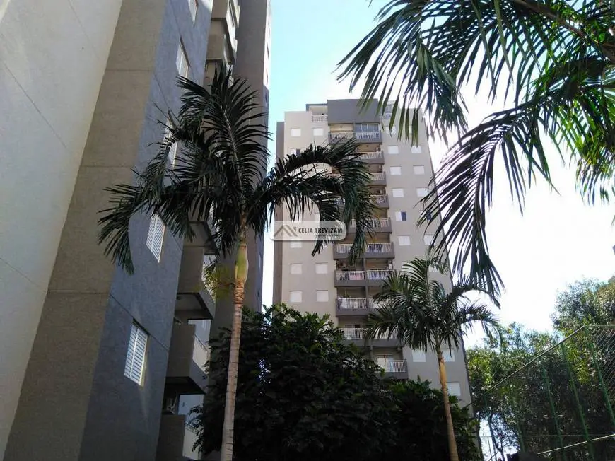 Foto 1 de Apartamento com 3 Quartos para alugar, 77m² em Jardim Pinheiros, São José do Rio Preto