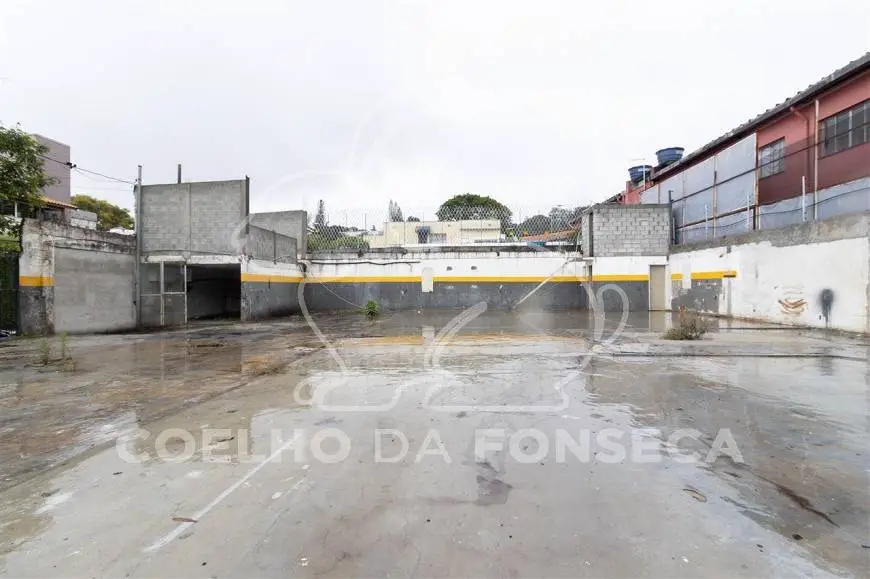 Foto 3 de Lote/Terreno à venda, 535m² em Jardim Petrópolis, São Paulo