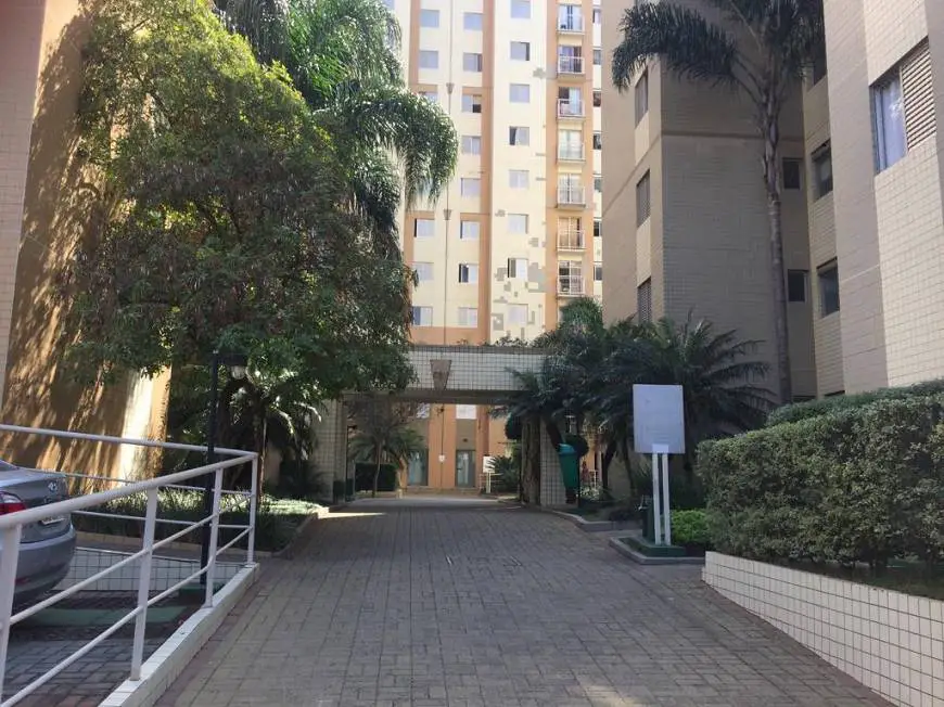 Foto 1 de Apartamento com 2 Quartos para alugar, 51m² em Cambuci, São Paulo