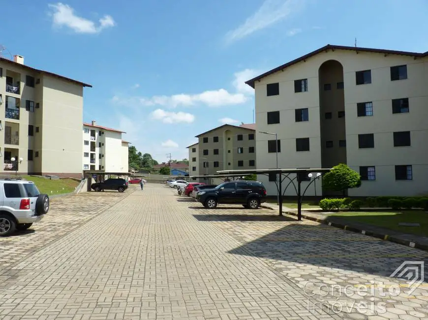 Foto 3 de Apartamento com 3 Quartos para alugar, 63m² em Uvaranas, Ponta Grossa