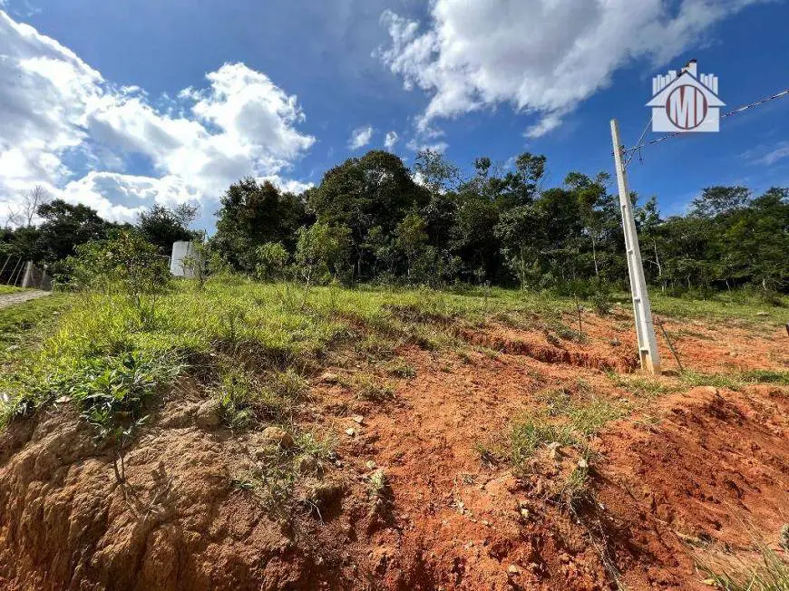 Foto 4 de Lote/Terreno à venda, 2346m² em Zona Rural, Pinhalzinho