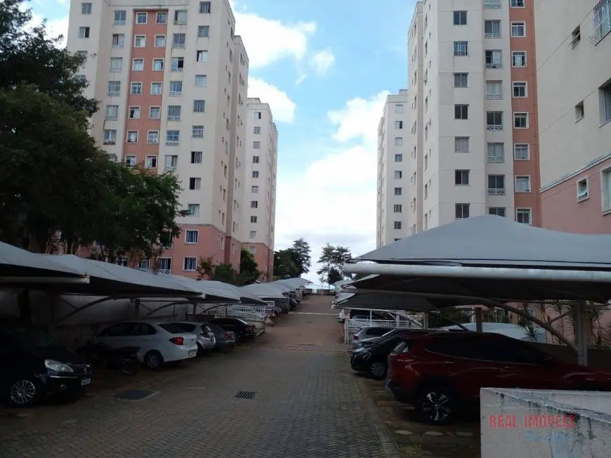 Foto 1 de Apartamento com 3 Quartos para alugar, 64m² em Cenaculo, Belo Horizonte