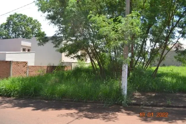 Foto 1 de Lote/Terreno à venda, 250m² em Jardim Tropical, Sertãozinho