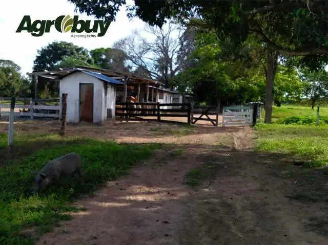 Foto 1 de Chácara com 1 Quarto à venda, 10m² em Zona Rural, Sandolândia
