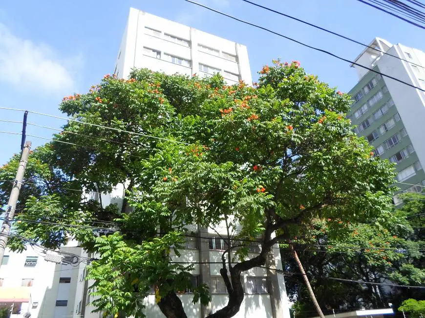 Foto 1 de Apartamento com 1 Quarto para alugar, 51m² em Vila Clementino, São Paulo