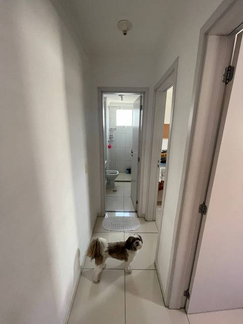 Foto 4 de Apartamento com 2 Quartos à venda, 48m² em Vila Joao Ramalho, Santo André
