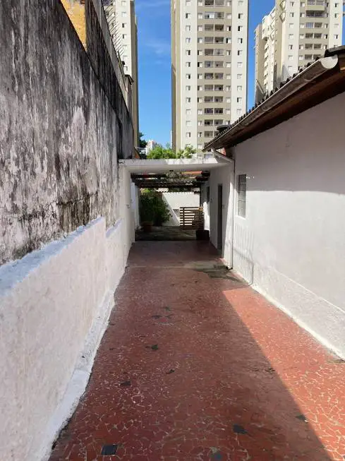 Foto 3 de Casa com 3 Quartos para alugar, 90m² em Vila Universitária, São Paulo