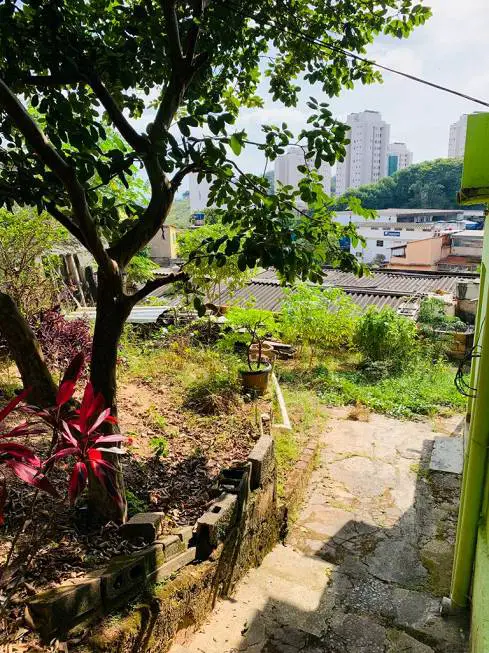Foto 1 de Casa com 7 Quartos à venda, 330m² em Nova Vista, Belo Horizonte