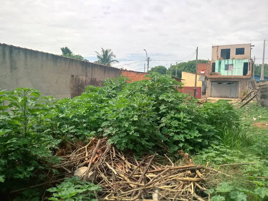 Foto 3 de Lote/Terreno à venda, 150m² em Loteamento Social Antenor Garcia, São Carlos