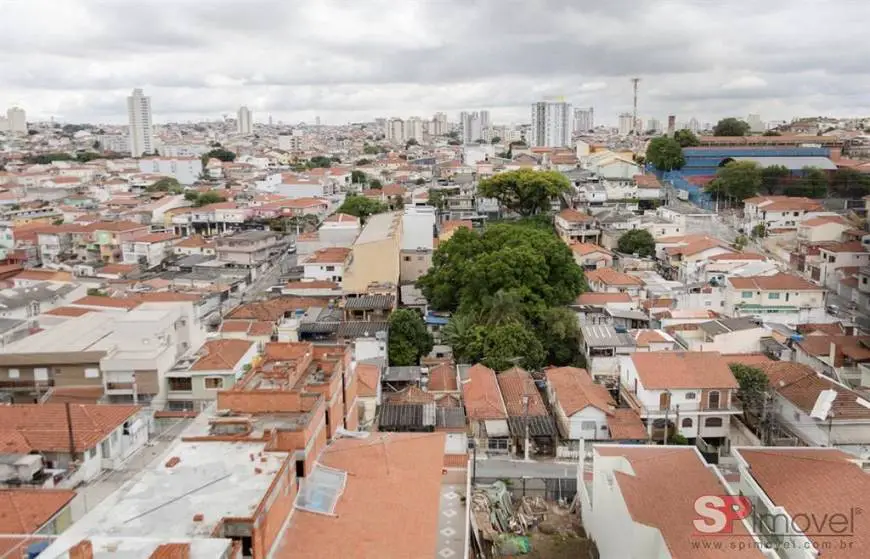 Foto 1 de Apartamento com 3 Quartos à venda, 70m² em Vila Gustavo, São Paulo
