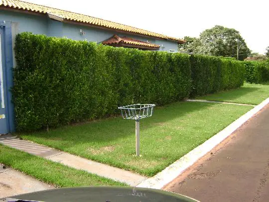 Foto 1 de Casa de Condomínio com 3 Quartos à venda, 440m² em Centro, Jardinópolis