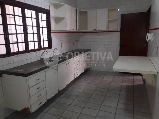 Foto 3 de Casa com 3 Quartos para alugar, 181m² em Vigilato Pereira, Uberlândia