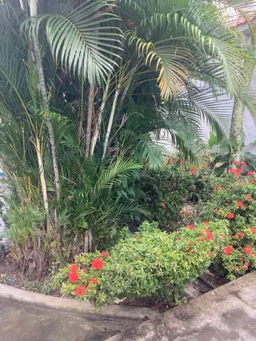 Foto 1 de Casa com 6 Quartos para alugar, 600m² em Parque Dez de Novembro, Manaus