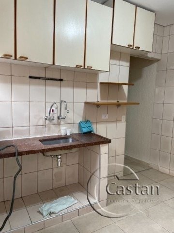 Foto 2 de Casa com 2 Quartos para alugar, 99m² em Cambuci, São Paulo