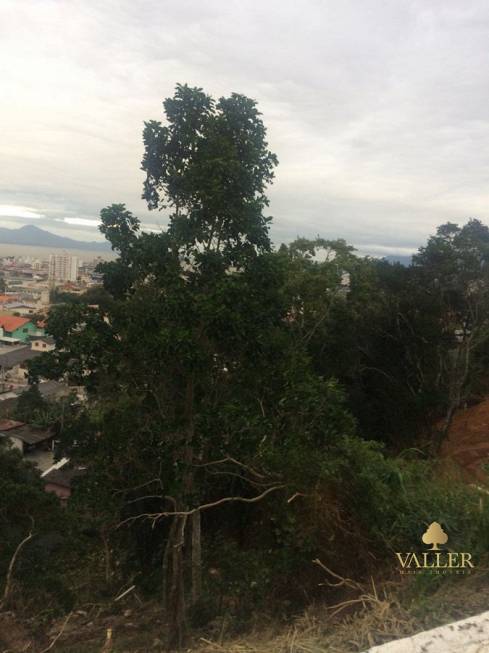 Foto 1 de Lote/Terreno à venda, 1177m² em Bosque das Mansões, São José