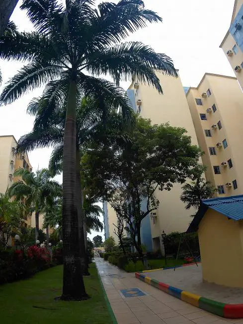 Foto 4 de Apartamento com 3 Quartos à venda, 68m² em San Martin, Recife