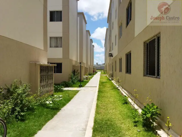 Foto 3 de Apartamento com 2 Quartos para alugar, 50m² em Maranguape I, Paulista